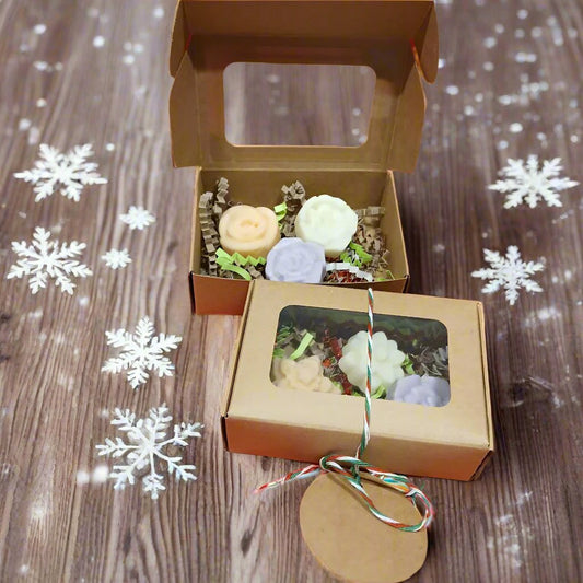 Mini Lotion bar box